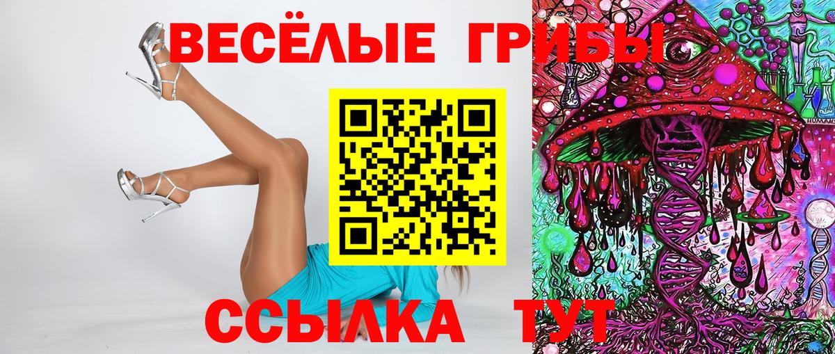 Галлюциногенные грибы Cubensis Михайловка